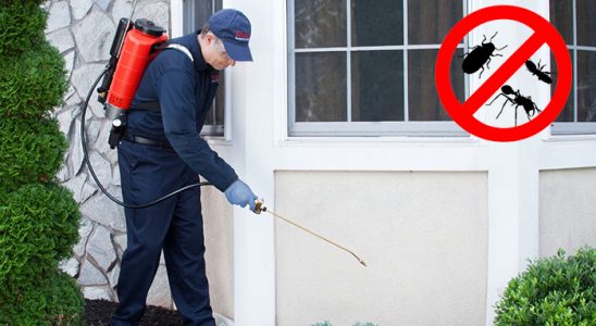 Muğla Sivrisinek İlaçlama böcek ilaçlama ve haşere kontrolü — ilaclama-tr.com